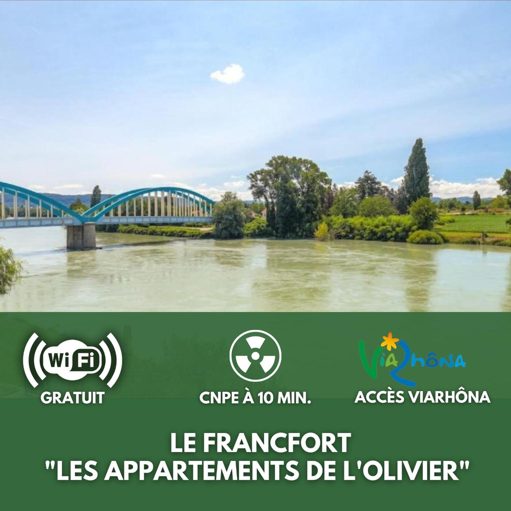 Le Francfort - Les Appartements De L'Olivier Loyettes Dış mekan fotoğraf
